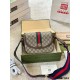 Gucci Original Version Luxury Ophidia Bags