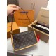 M45985 LOUIS VUITON LV Diane