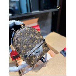 Louis Vuitton Backpack Bags Top Quality Free Shipping