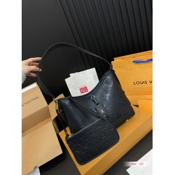 Louis Vuitton Bags Top Quality Free Shipping