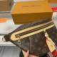 Louis Vuitton Bumbags Top Quality Free Shipping