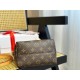  LV Top Original Version Louis Vuitton Bags Free Shipping #M60892