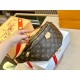 Original Version Louis Vuitton Luxury Waist Bags Free Shipping M43644