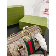   Gucci Original Version Luxury Bags Free Shipping Top Quality