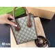 Gucci Original Version Luxury Ophidia Bags Free Shipping Top Quality