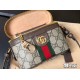 Free Shipping Gucci Original Version Luxury Ophidia Bags  Top Quality 1:1