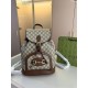 Gucci Original Version Louis Vuitton Luxury Bags Free Shipping Top Quality 1:1