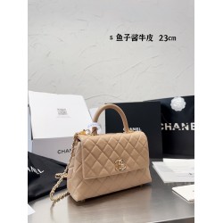 Chanel Coco Handle Original Version Chanel Luxury Bags Free Shipping