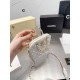 Chanel Coco Handle Original Version Chanel Luxury Bags Free Shipping