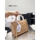 Chanel Coco Handle Original Version Chanel Luxury CC Trendy Bags Free Shipping