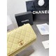 Chanel 19 Trendy Woc Original Version Chanel Luxury Bags Free Shipping