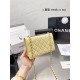 Chanel 19 Trendy Woc Original Version Chanel Luxury Bags Free Shipping