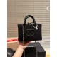 Chanel Coco Handle Original Version Chanel Luxury Bags Free Shipping