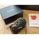 Chanel Coco Handle Original Version Chanel Luxury Bags Free Shipping