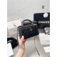 Chanel Coco Handle Original Version Chanel Luxury Bags Free Shipping