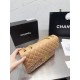 Chanel Coco Handle Original Version Chanel Luxury Bags Free Shipping