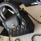 Chanel Coco Handle Original Version Chanel Luxury Bags Free Shipping