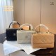 Chanel Coco Handle Original Version Chanel Luxury Bags Free Shipping