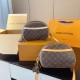 Louis Vuitton Original Version Bags Top Quality Free Shipping