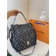 Louis Vuitton Original Version Hand Bags Top Quality Free Shipping