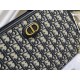 Dior Original Version Bags Top Quality Free Shipping