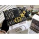 Dior Original Version Bags Top Quality Free Shipping