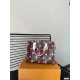 Louis Vuitton LV Speedy 25 Latest