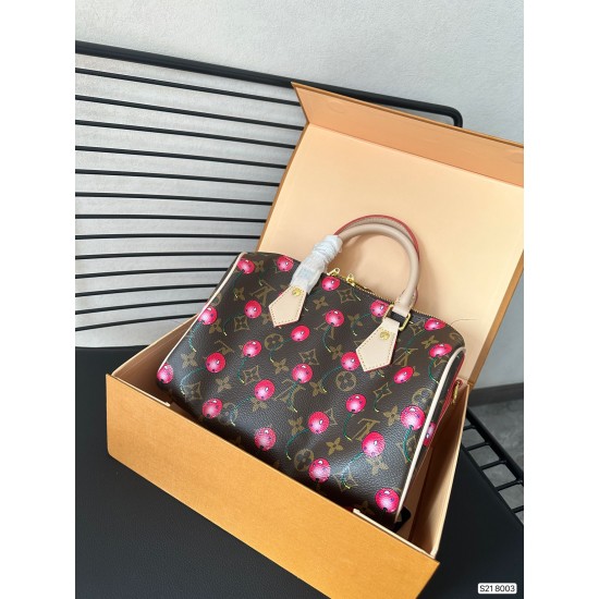 Louis Vuitton LV Speedy 25 Latest