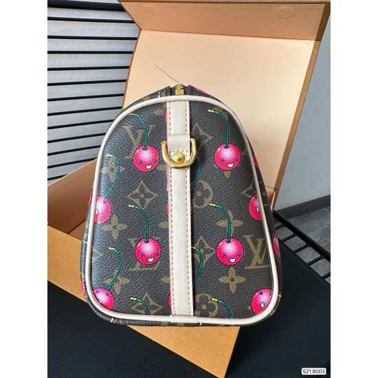 Louis Vuitton LV Speedy 25 Latest