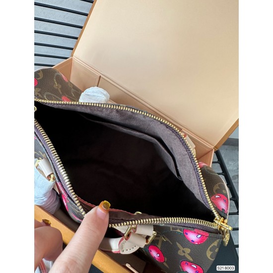 Louis Vuitton LV Speedy 25 Latest